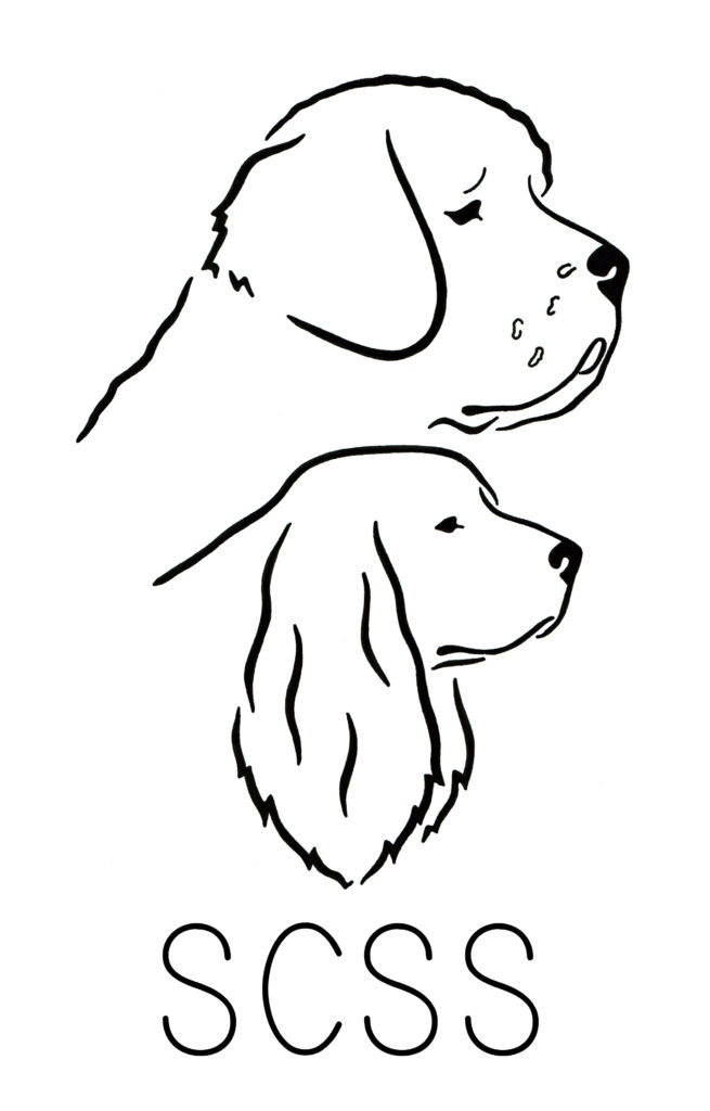 SCSS