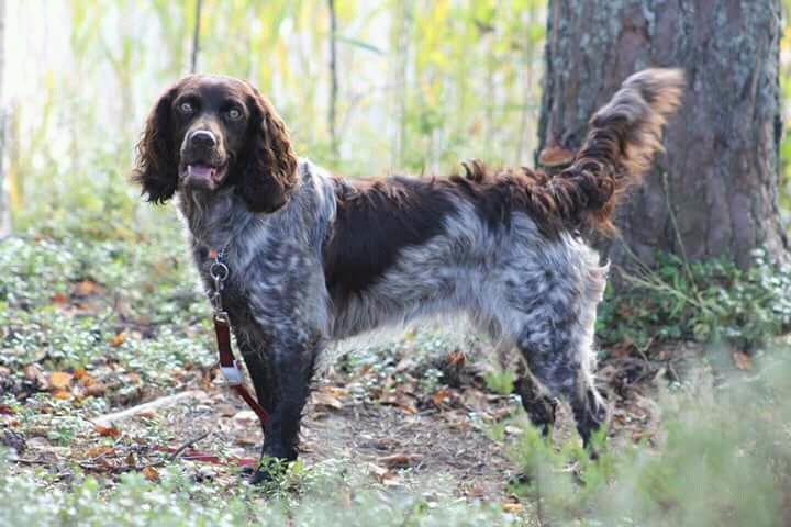 FB_IMG_15106869057611093