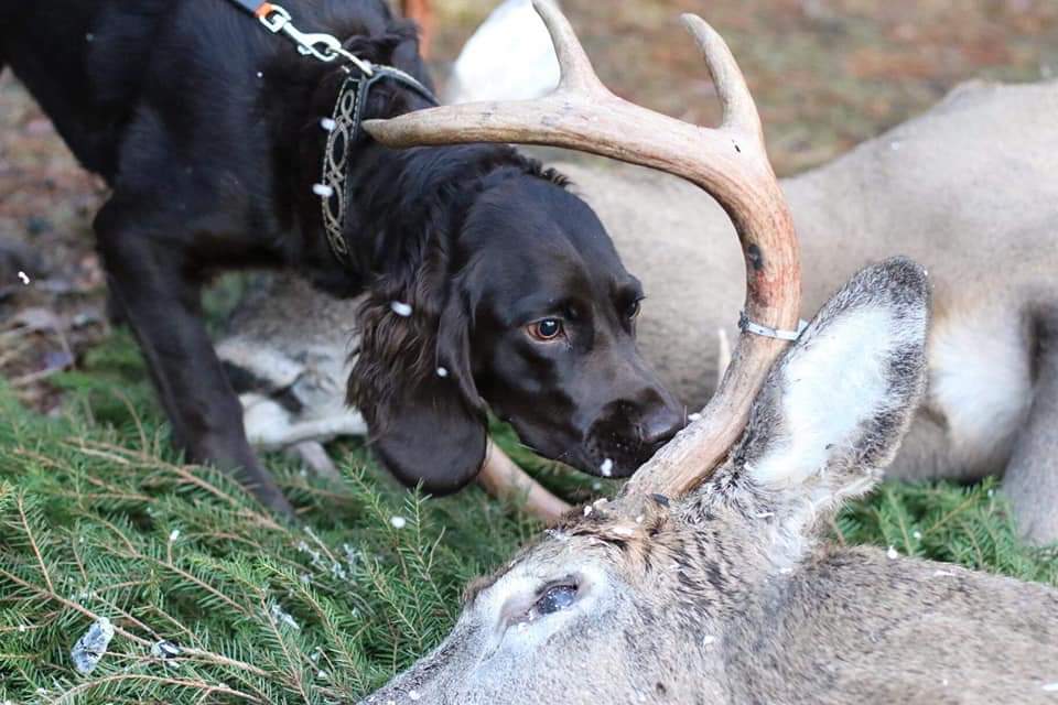 FB_IMG_1591884725668