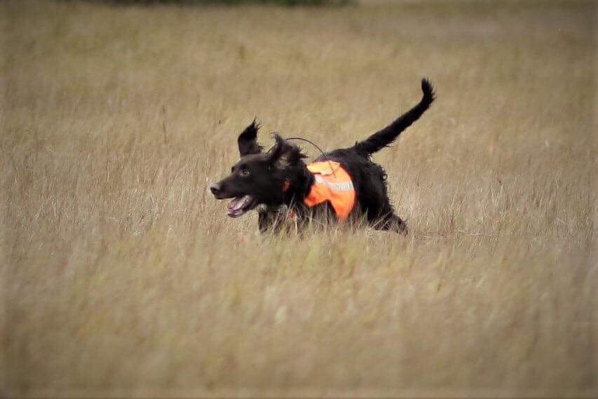 FB_IMG_1591884731232