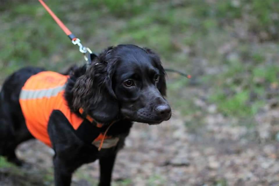 FB_IMG_1591884757247